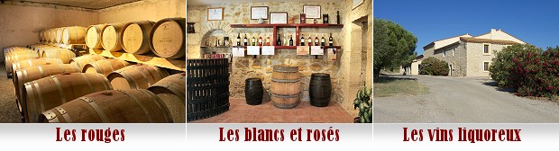 Grands vins rouges du Languedoc